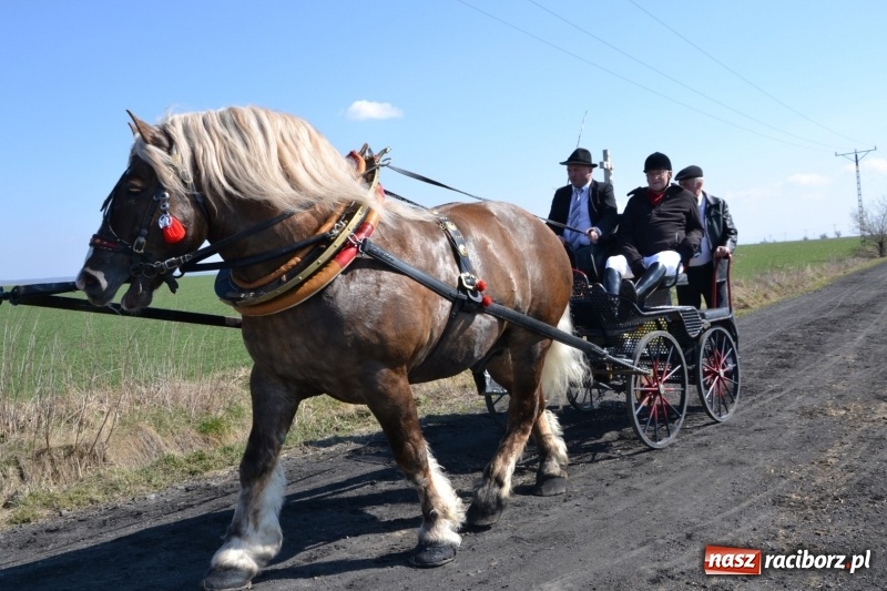 Zdjęcie w galerii na portalu naszraciborz.pl: Bieńkowickie rajtowanie - jeźdźcy mocno chwycili za lejce FOTO i WIDEO wiadomości z regionu