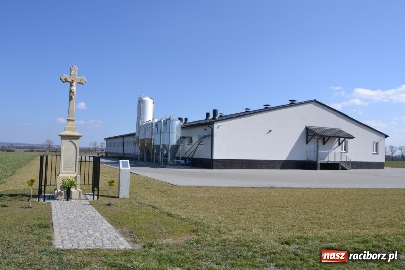 Zdjęcie w galerii na portalu naszraciborz.pl: Bieńkowickie rajtowanie - jeźdźcy mocno chwycili za lejce FOTO i WIDEO wiadomości z regionu