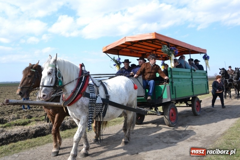 Zdjęcie w galerii na portalu naszraciborz.pl: Bieńkowickie rajtowanie - jeźdźcy mocno chwycili za lejce FOTO i WIDEO wiadomości z regionu