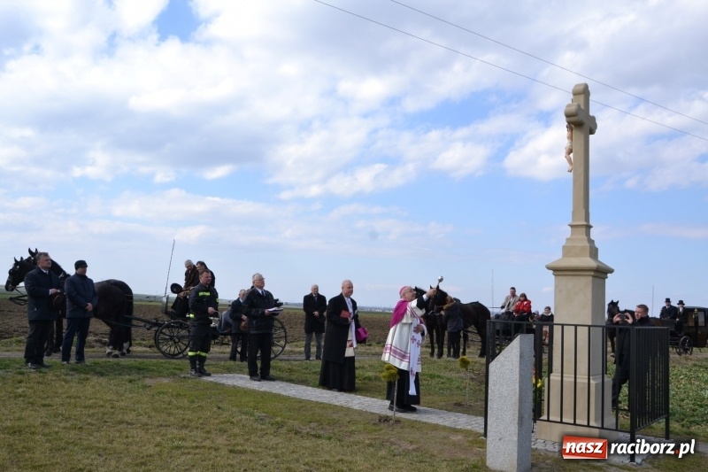 Zdjęcie w galerii na portalu naszraciborz.pl: Bieńkowickie rajtowanie - jeźdźcy mocno chwycili za lejce FOTO i WIDEO wiadomości z regionu