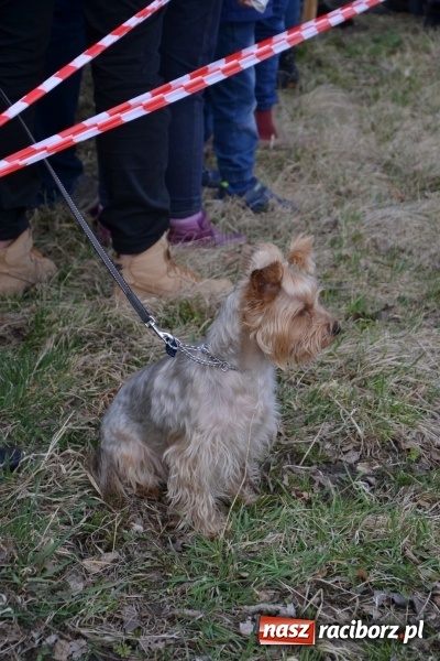Zdjęcie w galerii na portalu naszraciborz.pl: Bieńkowickie rajtowanie - jeźdźcy mocno chwycili za lejce FOTO i WIDEO wiadomości z regionu
