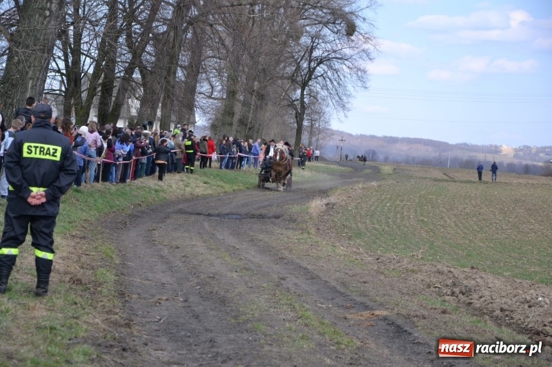 Zdjęcie w galerii na portalu naszraciborz.pl: Bieńkowickie rajtowanie - jeźdźcy mocno chwycili za lejce FOTO i WIDEO wiadomości z regionu