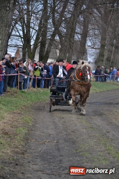 Zdjęcie w galerii na portalu naszraciborz.pl: Bieńkowickie rajtowanie - jeźdźcy mocno chwycili za lejce FOTO i WIDEO wiadomości z regionu