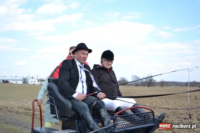 Zdjęcie w galerii na portalu naszraciborz.pl: Bieńkowickie rajtowanie - jeźdźcy mocno chwycili za lejce FOTO i WIDEO wiadomości z regionu