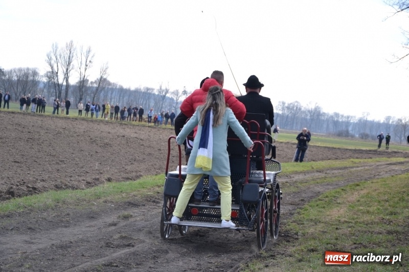 Zdjęcie w galerii na portalu naszraciborz.pl: Bieńkowickie rajtowanie - jeźdźcy mocno chwycili za lejce FOTO i WIDEO wiadomości z regionu