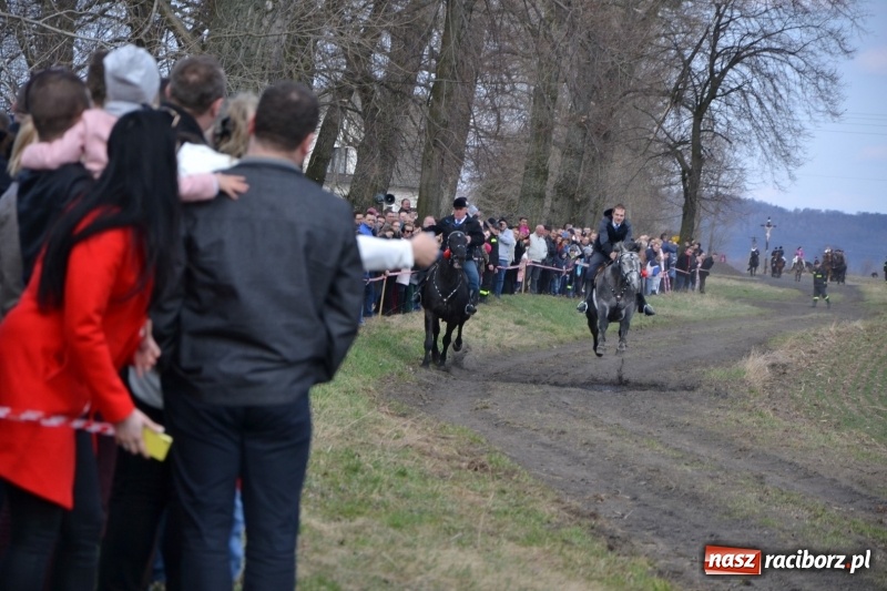 Zdjęcie w galerii na portalu naszraciborz.pl: Bieńkowickie rajtowanie - jeźdźcy mocno chwycili za lejce FOTO i WIDEO wiadomości z regionu