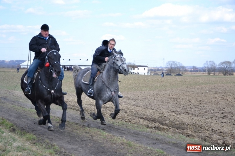 Zdjęcie w galerii na portalu naszraciborz.pl: Bieńkowickie rajtowanie - jeźdźcy mocno chwycili za lejce FOTO i WIDEO wiadomości z regionu