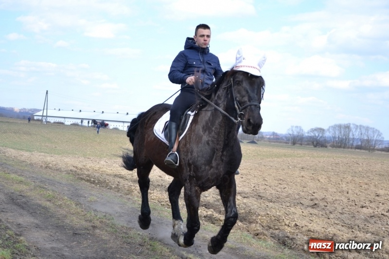 Zdjęcie w galerii na portalu naszraciborz.pl: Bieńkowickie rajtowanie - jeźdźcy mocno chwycili za lejce FOTO i WIDEO wiadomości z regionu