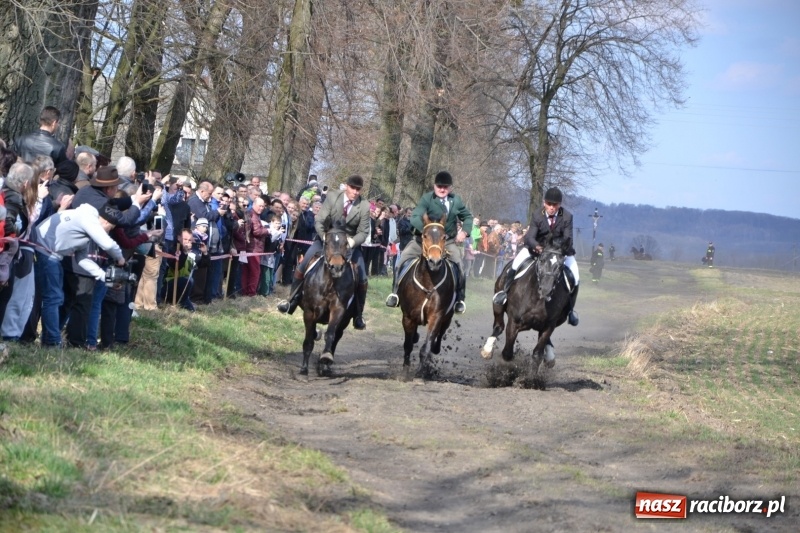 Zdjęcie w galerii na portalu naszraciborz.pl: Bieńkowickie rajtowanie - jeźdźcy mocno chwycili za lejce FOTO i WIDEO wiadomości z regionu