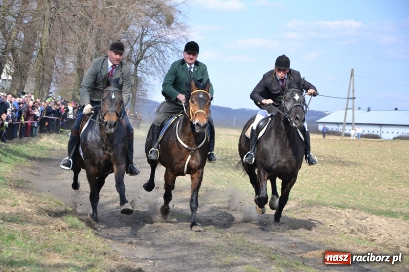Zdjęcie w galerii na portalu naszraciborz.pl: Bieńkowickie rajtowanie - jeźdźcy mocno chwycili za lejce FOTO i WIDEO wiadomości z regionu