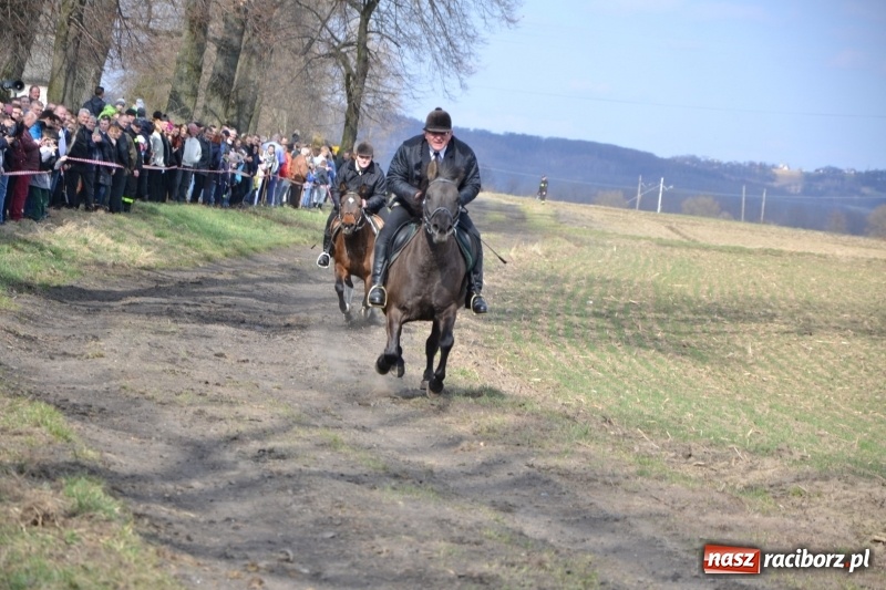 Zdjęcie w galerii na portalu naszraciborz.pl: Bieńkowickie rajtowanie - jeźdźcy mocno chwycili za lejce FOTO i WIDEO wiadomości z regionu