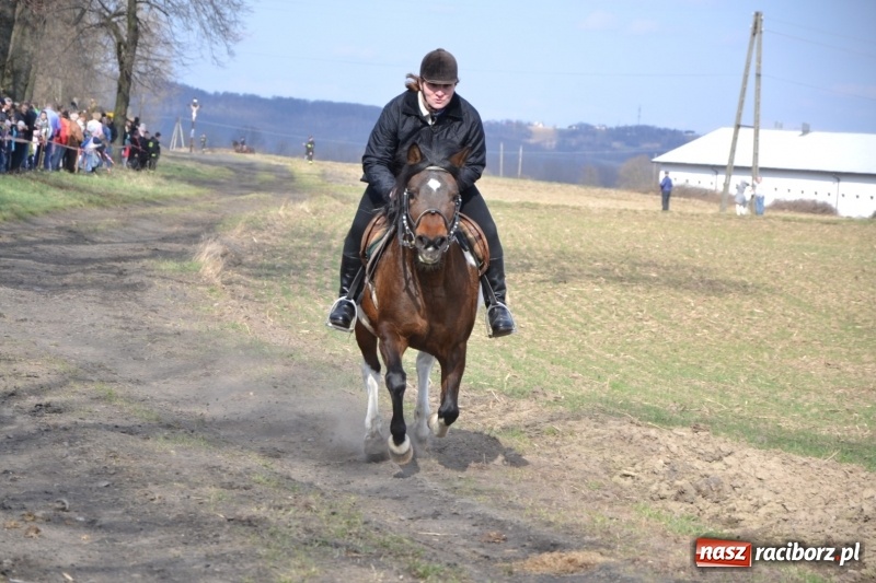Zdjęcie w galerii na portalu naszraciborz.pl: Bieńkowickie rajtowanie - jeźdźcy mocno chwycili za lejce FOTO i WIDEO wiadomości z regionu