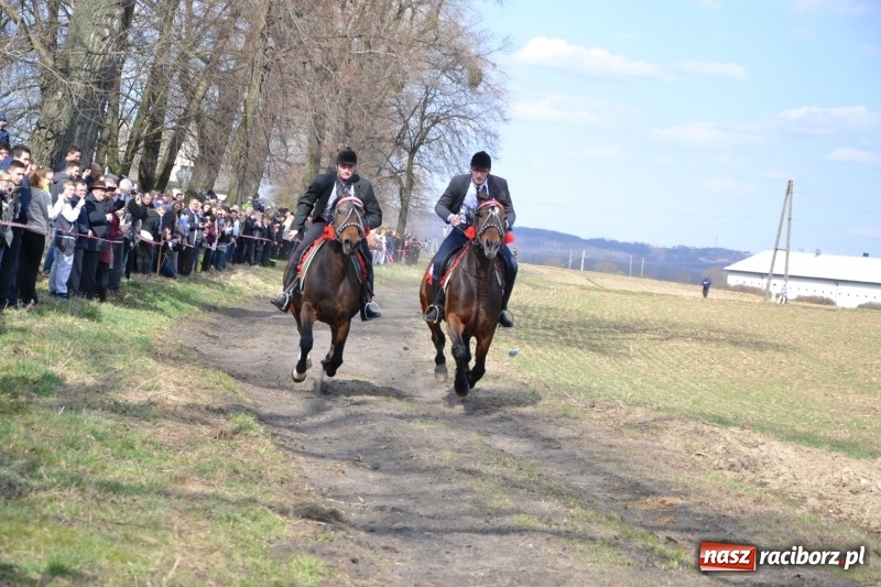 Zdjęcie w galerii na portalu naszraciborz.pl: Bieńkowickie rajtowanie - jeźdźcy mocno chwycili za lejce FOTO i WIDEO wiadomości z regionu