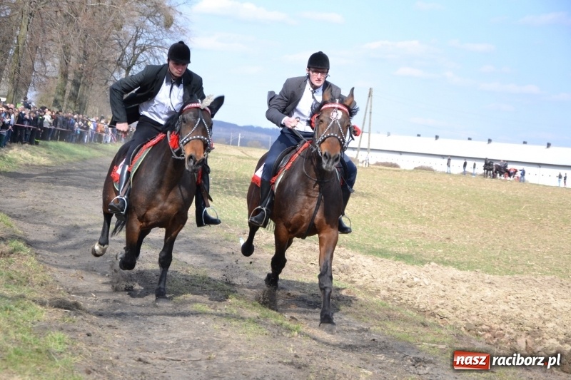 Zdjęcie w galerii na portalu naszraciborz.pl: Bieńkowickie rajtowanie - jeźdźcy mocno chwycili za lejce FOTO i WIDEO wiadomości z regionu