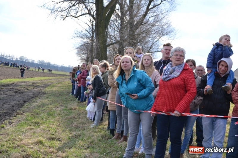 Zdjęcie w galerii na portalu naszraciborz.pl: Bieńkowickie rajtowanie - jeźdźcy mocno chwycili za lejce FOTO i WIDEO wiadomości z regionu