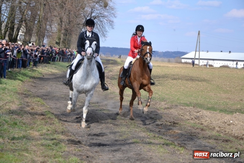 Zdjęcie w galerii na portalu naszraciborz.pl: Bieńkowickie rajtowanie - jeźdźcy mocno chwycili za lejce FOTO i WIDEO wiadomości z regionu