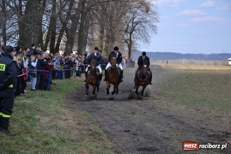 Zdjęcie w galerii na portalu naszraciborz.pl: Bieńkowickie rajtowanie - jeźdźcy mocno chwycili za lejce FOTO i WIDEO wiadomości z regionu