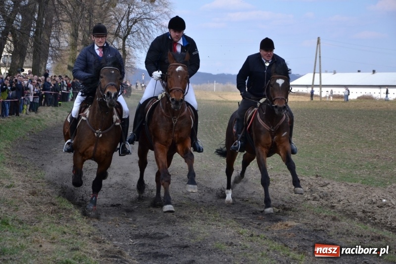 Zdjęcie w galerii na portalu naszraciborz.pl: Bieńkowickie rajtowanie - jeźdźcy mocno chwycili za lejce FOTO i WIDEO wiadomości z regionu