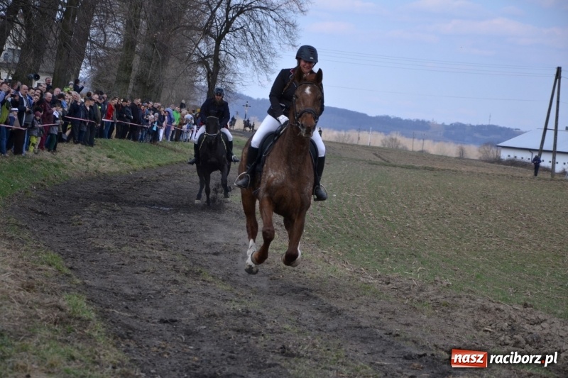 Zdjęcie w galerii na portalu naszraciborz.pl: Bieńkowickie rajtowanie - jeźdźcy mocno chwycili za lejce FOTO i WIDEO wiadomości z regionu