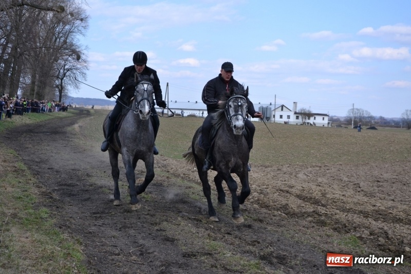 Zdjęcie w galerii na portalu naszraciborz.pl: Bieńkowickie rajtowanie - jeźdźcy mocno chwycili za lejce FOTO i WIDEO wiadomości z regionu