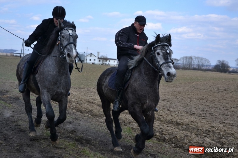 Zdjęcie w galerii na portalu naszraciborz.pl: Bieńkowickie rajtowanie - jeźdźcy mocno chwycili za lejce FOTO i WIDEO wiadomości z regionu
