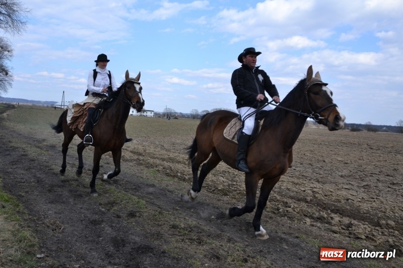 Zdjęcie w galerii na portalu naszraciborz.pl: Bieńkowickie rajtowanie - jeźdźcy mocno chwycili za lejce FOTO i WIDEO wiadomości z regionu