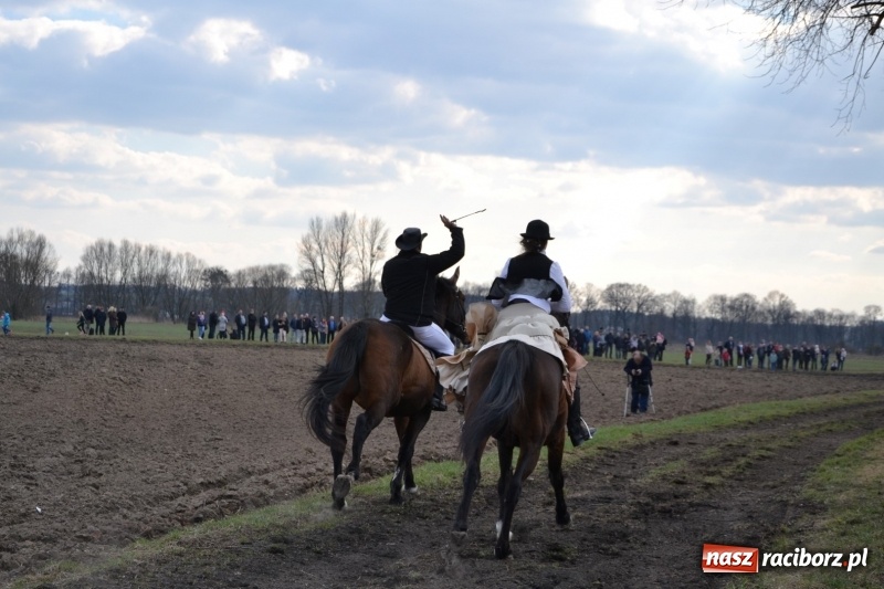 Zdjęcie w galerii na portalu naszraciborz.pl: Bieńkowickie rajtowanie - jeźdźcy mocno chwycili za lejce FOTO i WIDEO wiadomości z regionu
