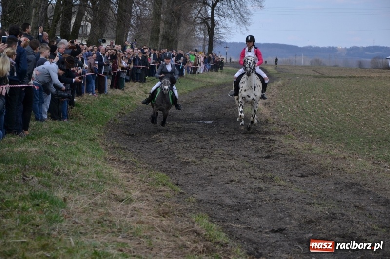 Zdjęcie w galerii na portalu naszraciborz.pl: Bieńkowickie rajtowanie - jeźdźcy mocno chwycili za lejce FOTO i WIDEO wiadomości z regionu