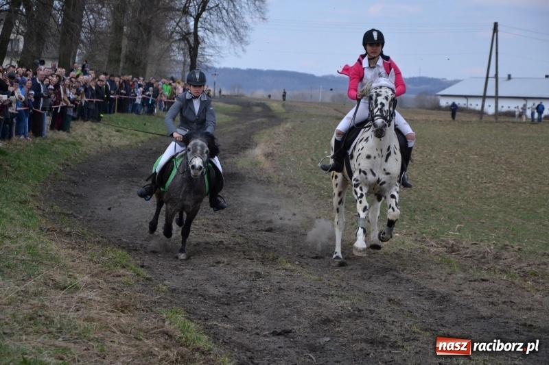 Zdjęcie w galerii na portalu naszraciborz.pl: Bieńkowickie rajtowanie - jeźdźcy mocno chwycili za lejce FOTO i WIDEO wiadomości z regionu