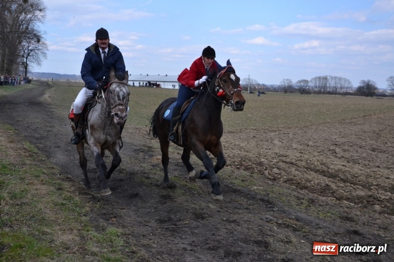 Zdjęcie w galerii na portalu naszraciborz.pl: Bieńkowickie rajtowanie - jeźdźcy mocno chwycili za lejce FOTO i WIDEO wiadomości z regionu