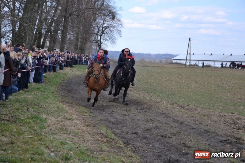 Zdjęcie w galerii na portalu naszraciborz.pl: Bieńkowickie rajtowanie - jeźdźcy mocno chwycili za lejce FOTO i WIDEO wiadomości z regionu