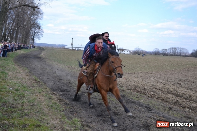 Zdjęcie w galerii na portalu naszraciborz.pl: Bieńkowickie rajtowanie - jeźdźcy mocno chwycili za lejce FOTO i WIDEO wiadomości z regionu