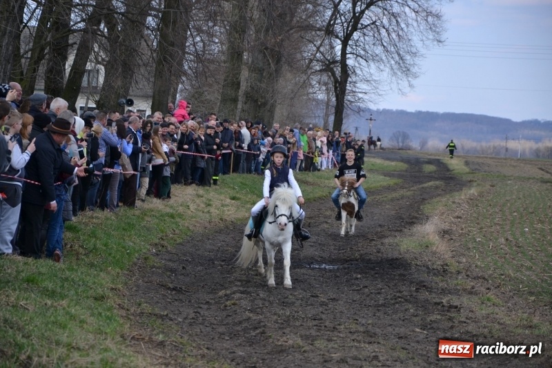 Zdjęcie w galerii na portalu naszraciborz.pl: Bieńkowickie rajtowanie - jeźdźcy mocno chwycili za lejce FOTO i WIDEO wiadomości z regionu