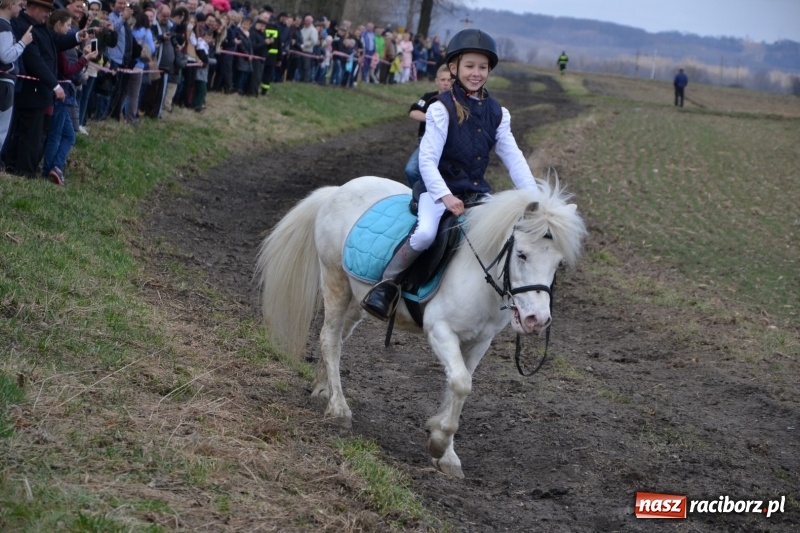 Zdjęcie w galerii na portalu naszraciborz.pl: Bieńkowickie rajtowanie - jeźdźcy mocno chwycili za lejce FOTO i WIDEO wiadomości z regionu