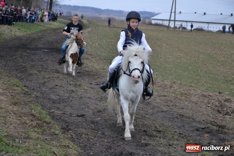 Zdjęcie w galerii na portalu naszraciborz.pl: Bieńkowickie rajtowanie - jeźdźcy mocno chwycili za lejce FOTO i WIDEO wiadomości z regionu