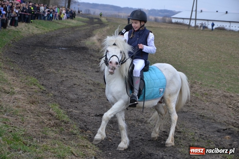 Zdjęcie w galerii na portalu naszraciborz.pl: Bieńkowickie rajtowanie - jeźdźcy mocno chwycili za lejce FOTO i WIDEO wiadomości z regionu