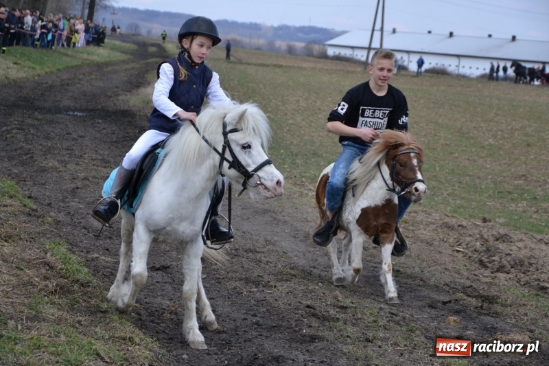Zdjęcie w galerii na portalu naszraciborz.pl: Bieńkowickie rajtowanie - jeźdźcy mocno chwycili za lejce FOTO i WIDEO wiadomości z regionu