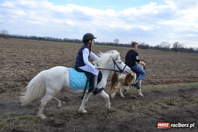 Zdjęcie w galerii na portalu naszraciborz.pl: Bieńkowickie rajtowanie - jeźdźcy mocno chwycili za lejce FOTO i WIDEO wiadomości z regionu