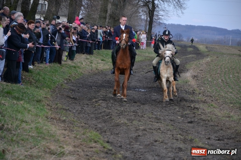 Zdjęcie w galerii na portalu naszraciborz.pl: Bieńkowickie rajtowanie - jeźdźcy mocno chwycili za lejce FOTO i WIDEO wiadomości z regionu