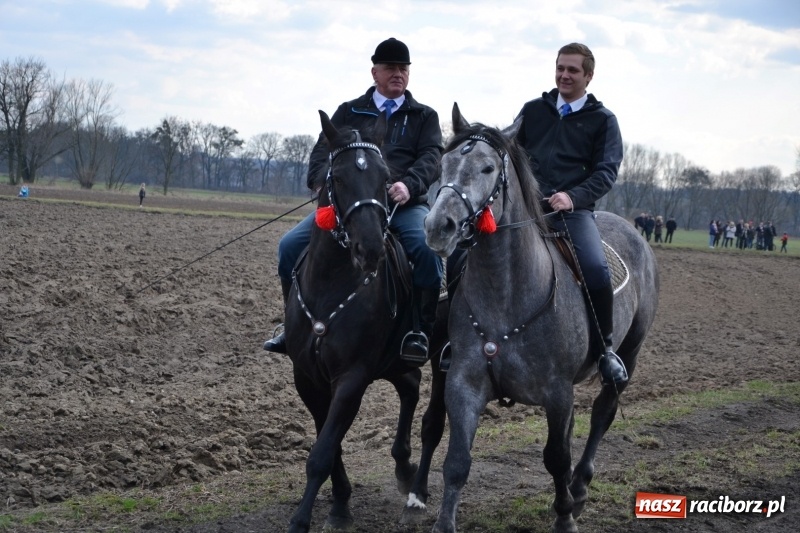 Zdjęcie w galerii na portalu naszraciborz.pl: Bieńkowickie rajtowanie - jeźdźcy mocno chwycili za lejce FOTO i WIDEO wiadomości z regionu