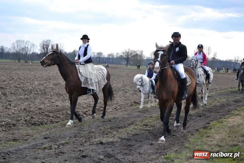 Zdjęcie w galerii na portalu naszraciborz.pl: Bieńkowickie rajtowanie - jeźdźcy mocno chwycili za lejce FOTO i WIDEO wiadomości z regionu