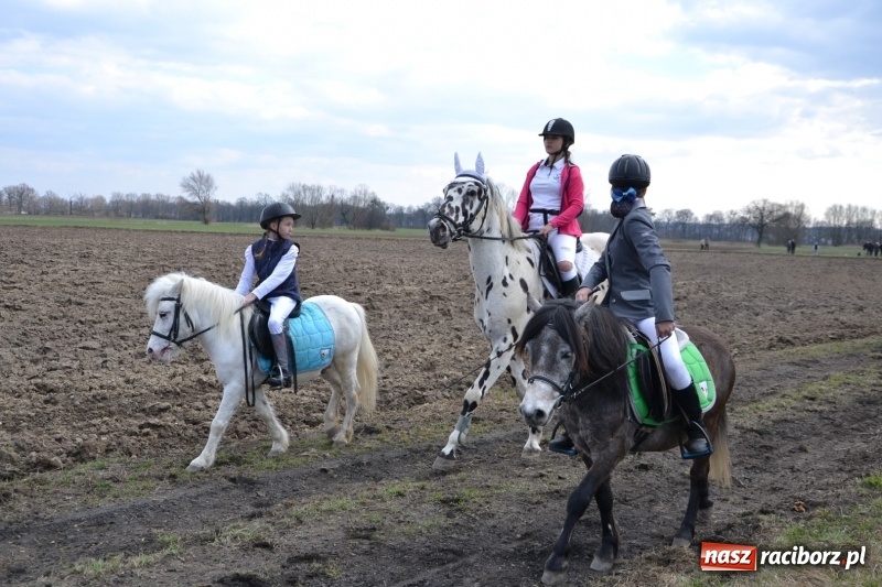 Zdjęcie w galerii na portalu naszraciborz.pl: Bieńkowickie rajtowanie - jeźdźcy mocno chwycili za lejce FOTO i WIDEO wiadomości z regionu
