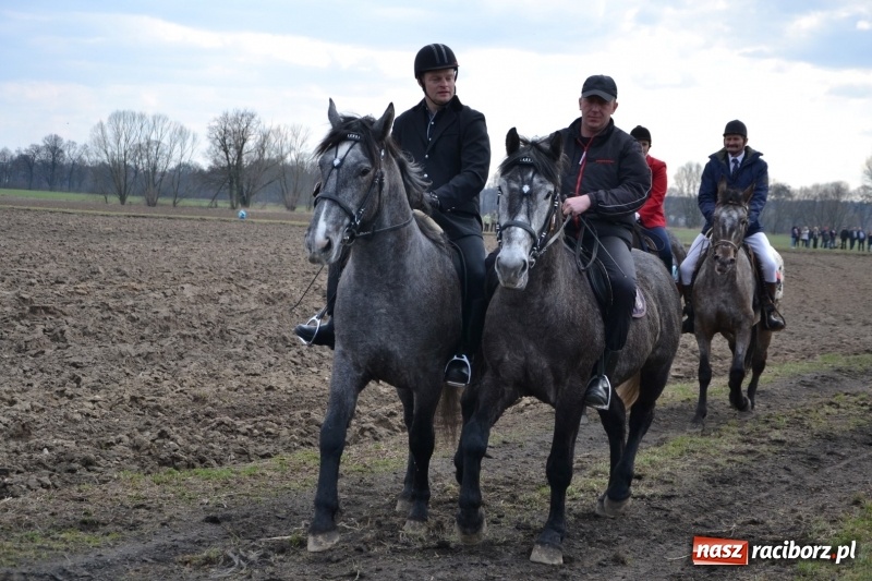 Zdjęcie w galerii na portalu naszraciborz.pl: Bieńkowickie rajtowanie - jeźdźcy mocno chwycili za lejce FOTO i WIDEO wiadomości z regionu