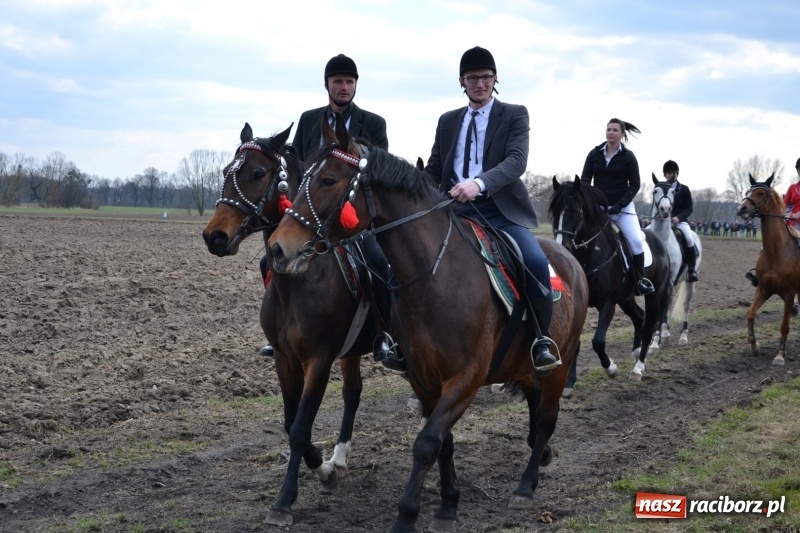 Zdjęcie w galerii na portalu naszraciborz.pl: Bieńkowickie rajtowanie - jeźdźcy mocno chwycili za lejce FOTO i WIDEO wiadomości z regionu