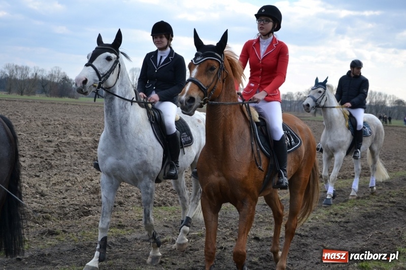 Zdjęcie w galerii na portalu naszraciborz.pl: Bieńkowickie rajtowanie - jeźdźcy mocno chwycili za lejce FOTO i WIDEO wiadomości z regionu