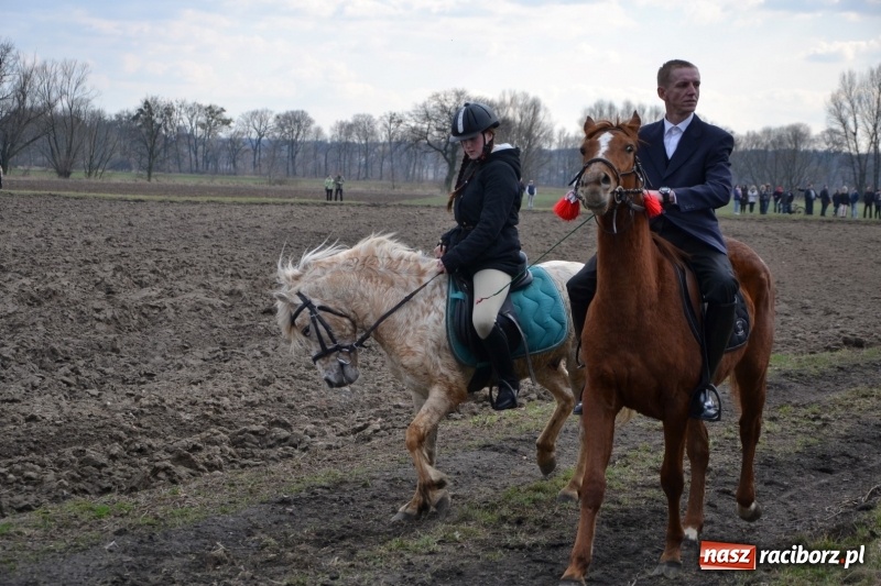 Zdjęcie w galerii na portalu naszraciborz.pl: Bieńkowickie rajtowanie - jeźdźcy mocno chwycili za lejce FOTO i WIDEO wiadomości z regionu