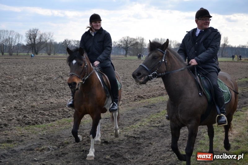Zdjęcie w galerii na portalu naszraciborz.pl: Bieńkowickie rajtowanie - jeźdźcy mocno chwycili za lejce FOTO i WIDEO wiadomości z regionu