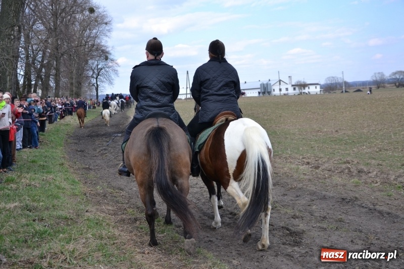 Zdjęcie w galerii na portalu naszraciborz.pl: Bieńkowickie rajtowanie - jeźdźcy mocno chwycili za lejce FOTO i WIDEO wiadomości z regionu