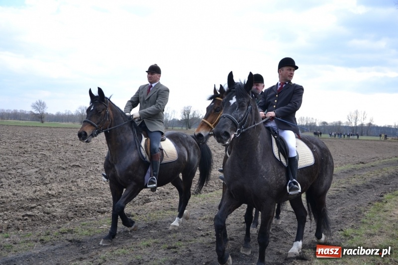 Zdjęcie w galerii na portalu naszraciborz.pl: Bieńkowickie rajtowanie - jeźdźcy mocno chwycili za lejce FOTO i WIDEO wiadomości z regionu