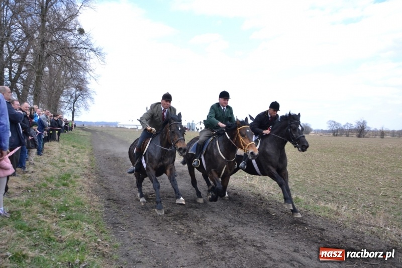 Zdjęcie w galerii na portalu naszraciborz.pl: Bieńkowickie rajtowanie - jeźdźcy mocno chwycili za lejce FOTO i WIDEO wiadomości z regionu